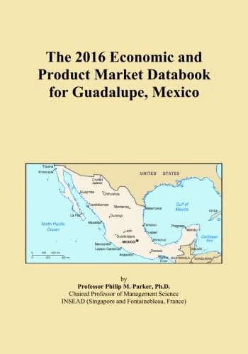 The 2016 Economic and Product Market Databook for Guadalupe, Mexico