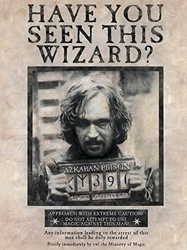 Pyramid International HARRY POTTER Canvas Print Wanted Sirius Black 60cm x 80cm - Official Merchandise