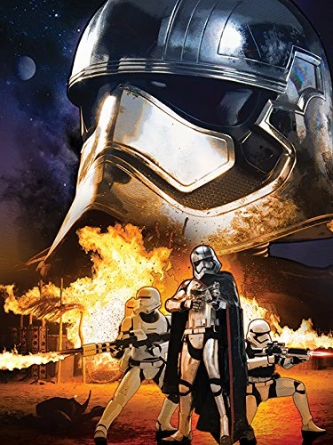 Pyramid International "Captain Phasma Art Star Wars Episode VII Canvas Print, Multi-Colour, 60 x 80 x 1.3 cm