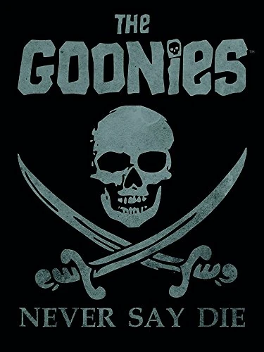 The Goonies Never Say Die Canvas Print, Multi-Colour, 60 x 80 cm