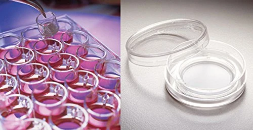 MILLIPORE 044003 Millicell membrane culture chamber insert for plates 6 or 24 wells