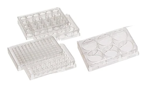 DUTSCHER 1130184 Plate 6 wells for cell culture BioLite (Pack of 50) (Pack of 50)