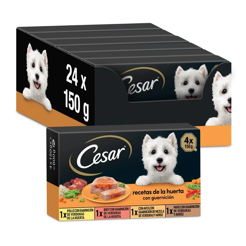 Cesar Wet Food for Dogs, Vegetable Garden Recipes in Pate and Gelatin, Multipack (Pack of 6 x 4 Tubs x 150g)