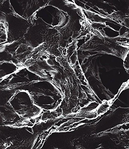 MILLIPORE 044176 LCR membrane filter, pores 0.45 µm, diameter 13 mm Millipore (Pack of 100)