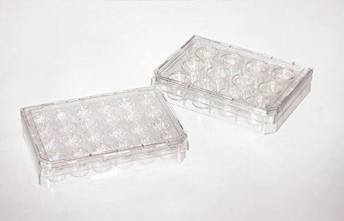 NUNC 056738 Microplate with 24 culture inserts MD24 porosity 8 μm