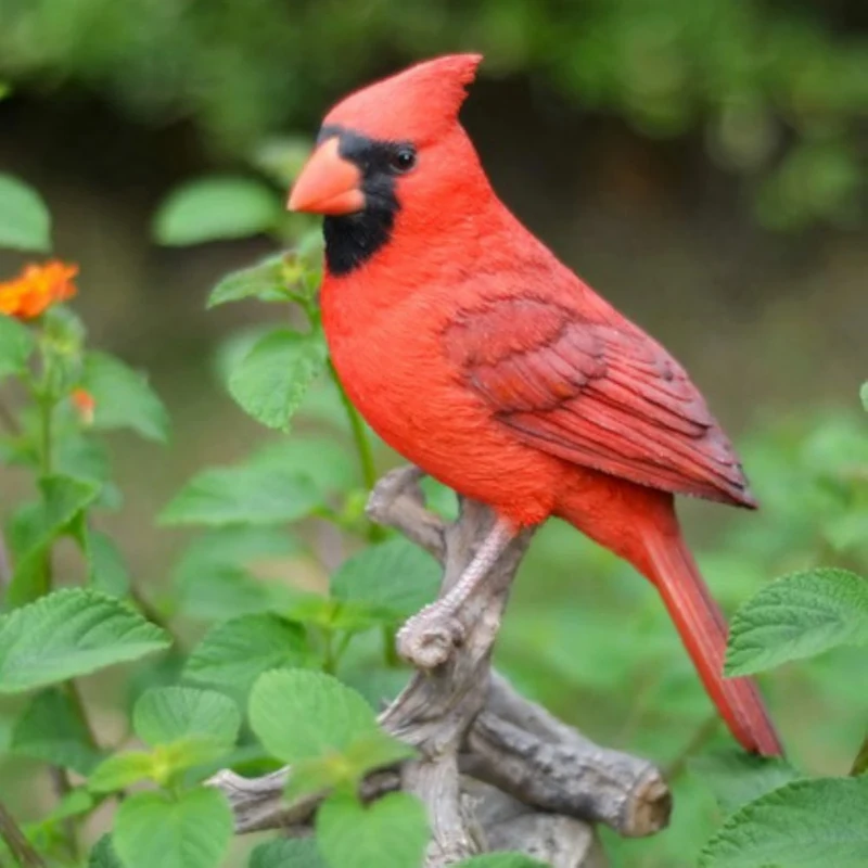 Hi-Line Gift Ltd Cardinal on Branch Statue