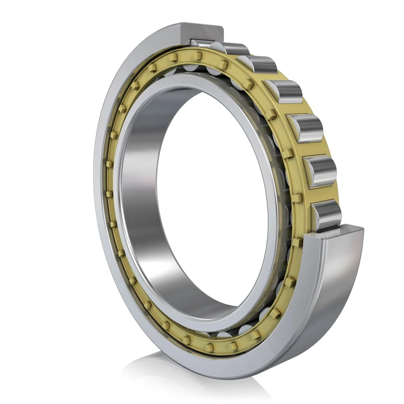 FAG NJ2211-E-TVP2 Cylindrical Roller Bearing