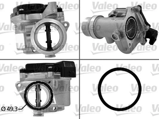 VALEO 700450 Throttle body