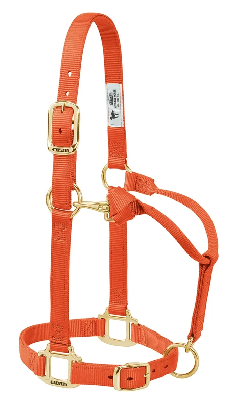 Weaver Leather Original Adjustable Nylon Horse Halter, Yearling, Orange