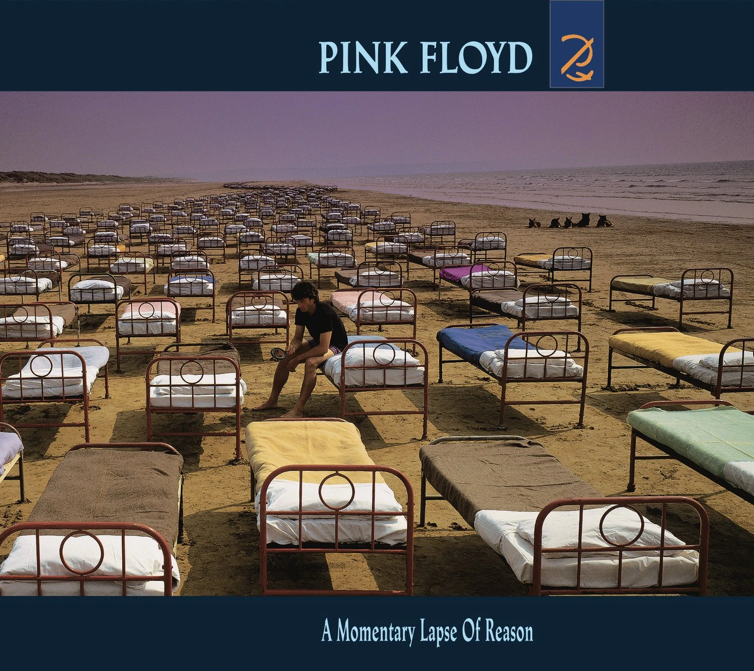 A Momentary Lapse Of Reason