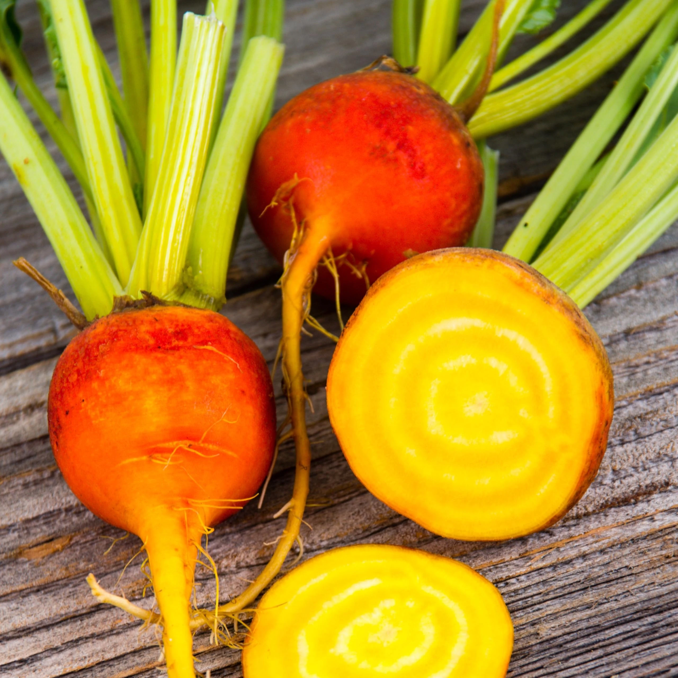 PREMIER SEEDS DIRECT - Beetroot Seeds - Burpees Golden - Organic, 125 Seeds