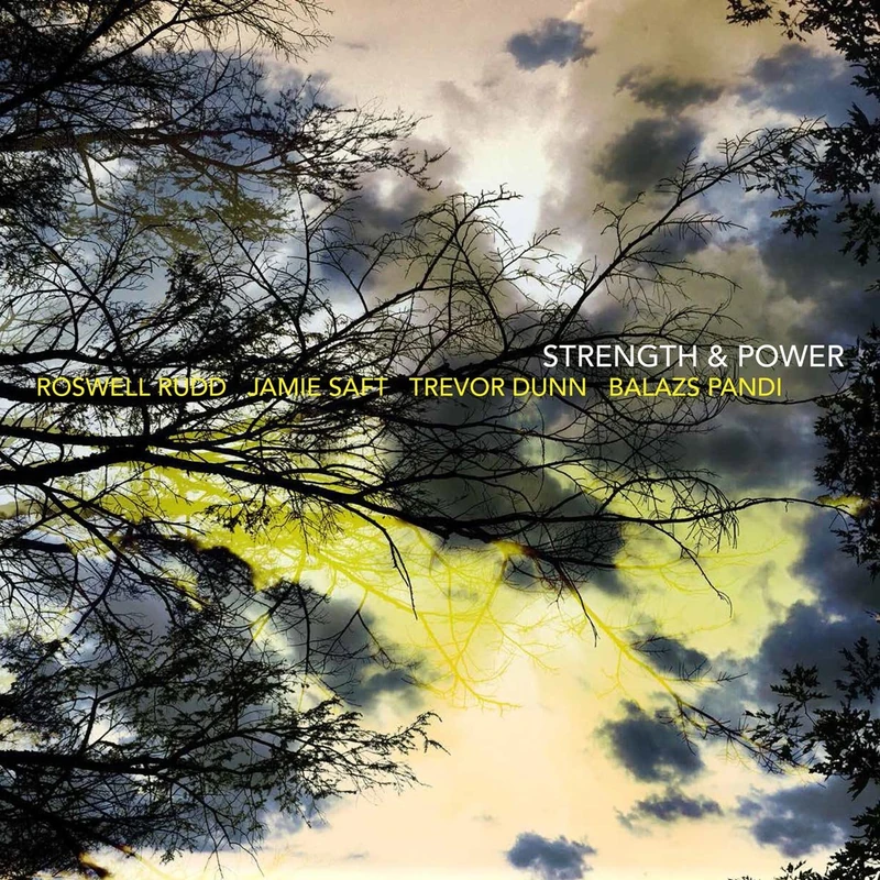 Strength & Power [VINYL]