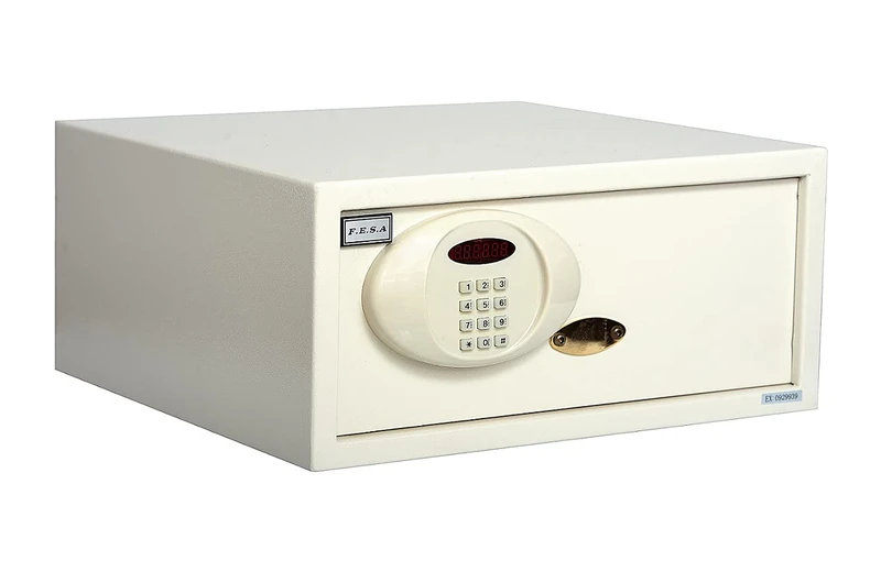 Fesa - Electronic Safe and Security 195 x 437 x 378 mm, Motorized - 26 Litres - Image 1