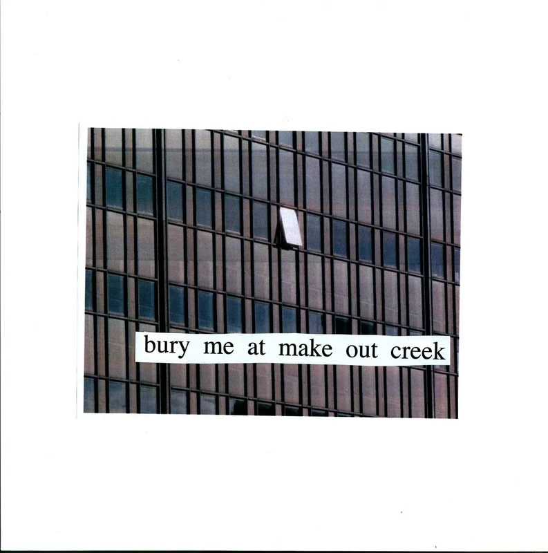 Bury Me At Makeout Creek [VINYL]