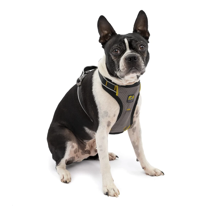 Kurgo Impact Dog Car Harness, Crash Tested, Integrates with Car Seatbelt System, Lightweight, Small-Black/Charcoal Grey