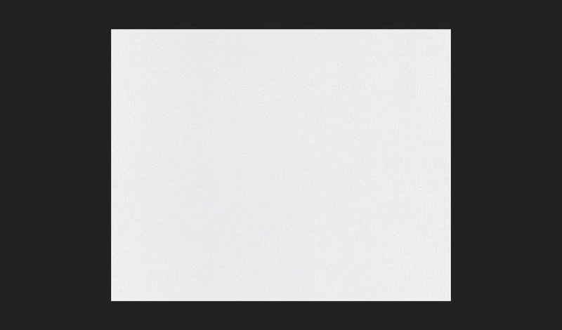 A.S. Création Meisterfleece 248411 2484-11 Paintable Non-Woven Wallpaper 25.00 m x 1.06 m White Made in Germany