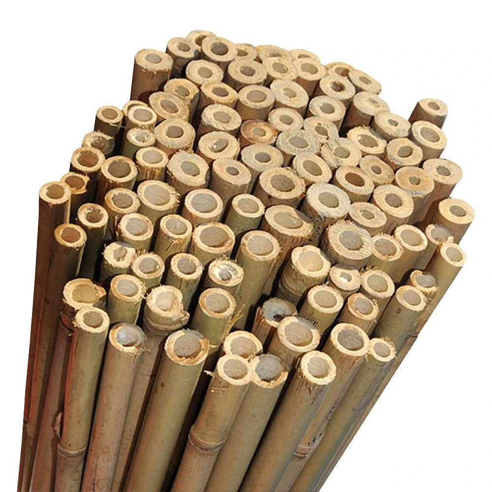Elixir Gardens Strong Heavy Duty Professional Bamboo Plant Support Garden Canes | All lengths in stock 2, 3, 4, 5, 6, 7 & 8ft | Choose from a range of pack sizes from 10 to 250 | 8ft x 20