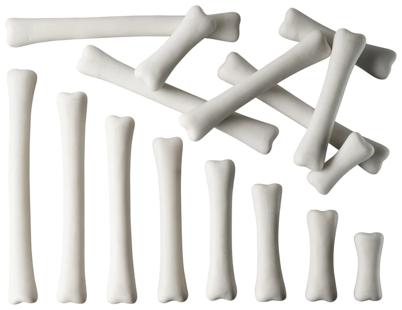 Yellow Door Dinosaur Bones Match and Measure Set | 16 Toy Bones | STEM Activity | Prehistoric learning | Early maths to investigate collect compare measure | Halloween | kids age 3 4 5 | Outdoor play