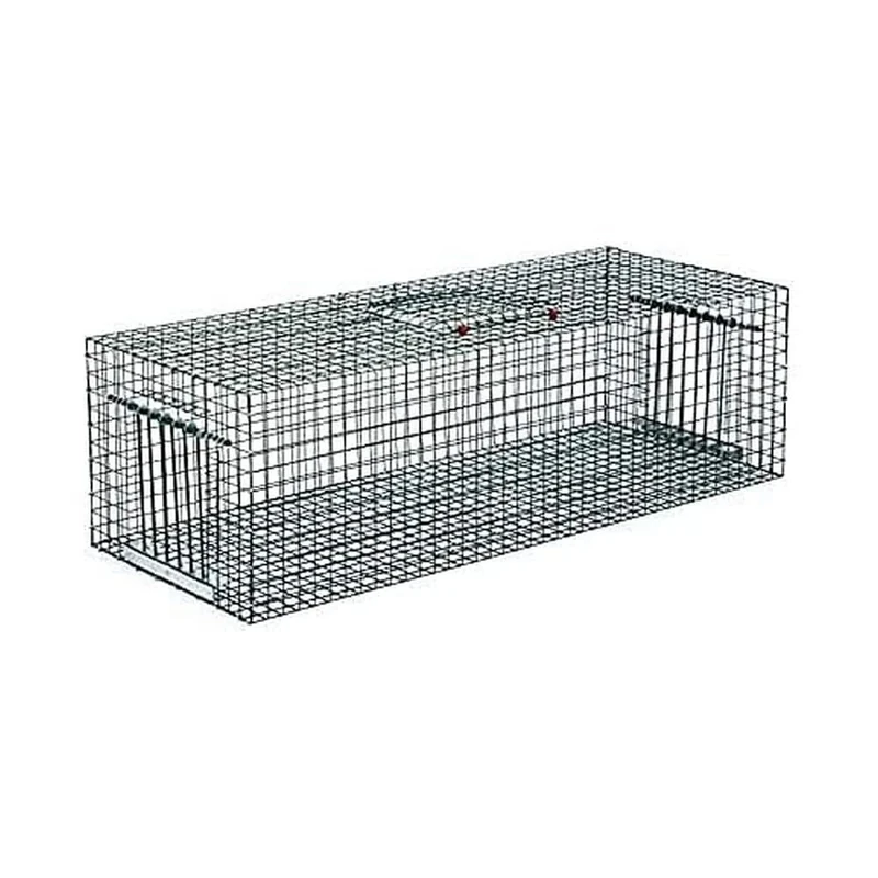 Pigeon Catcher Cage