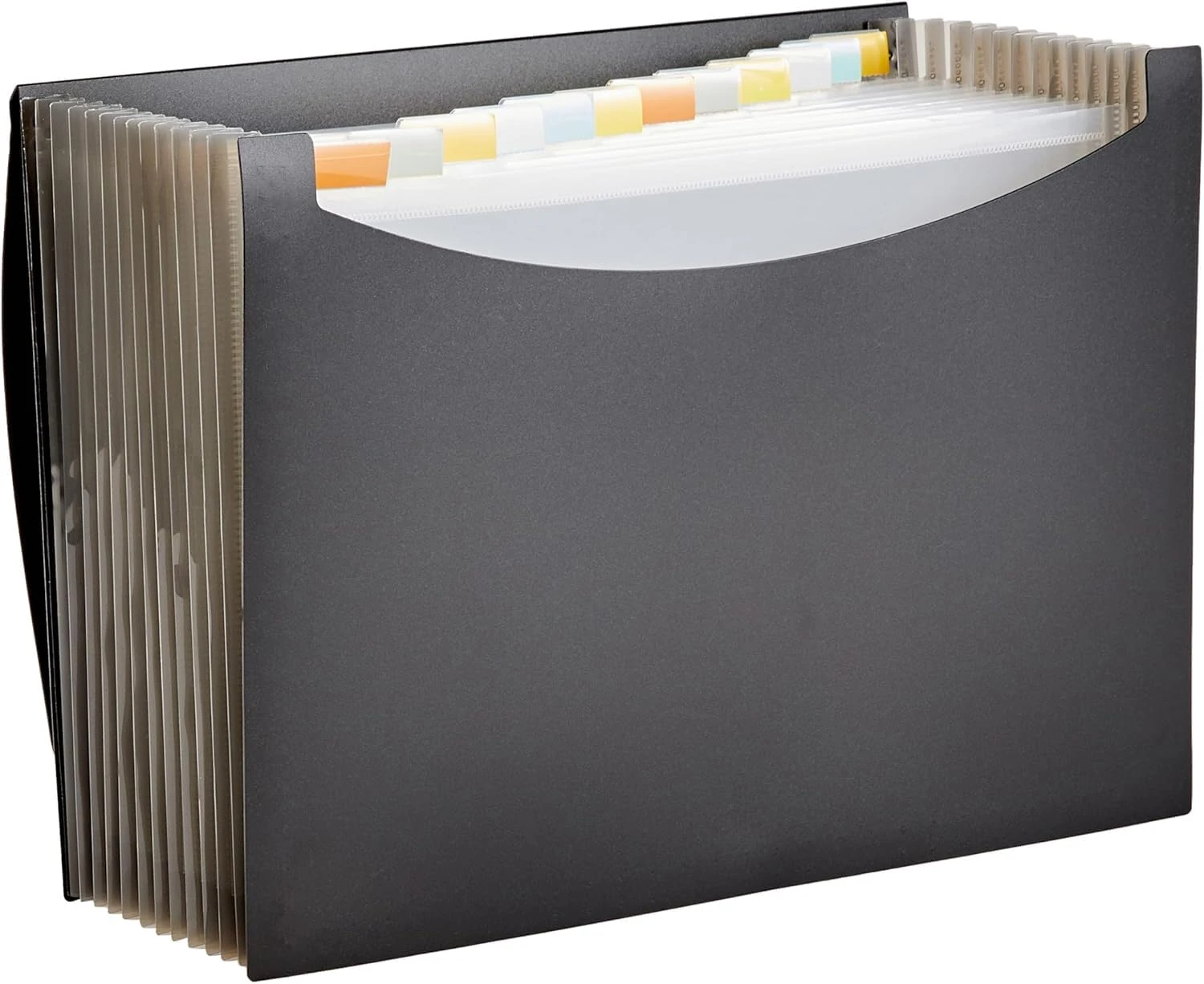 Amazon Basics Expanding File, A4 Size - Black