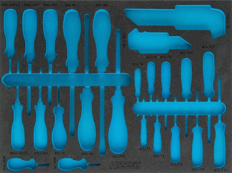 HAZET 163-373L 2-Component Soft Foam Insert - Multi-Colour