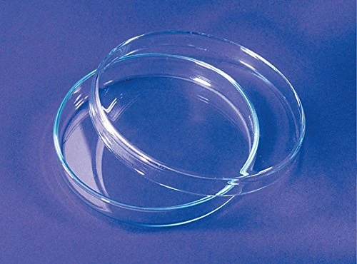 dutscher 001749b Glass Petri Dish 150 mm x 25 mm (Pack of 36)
