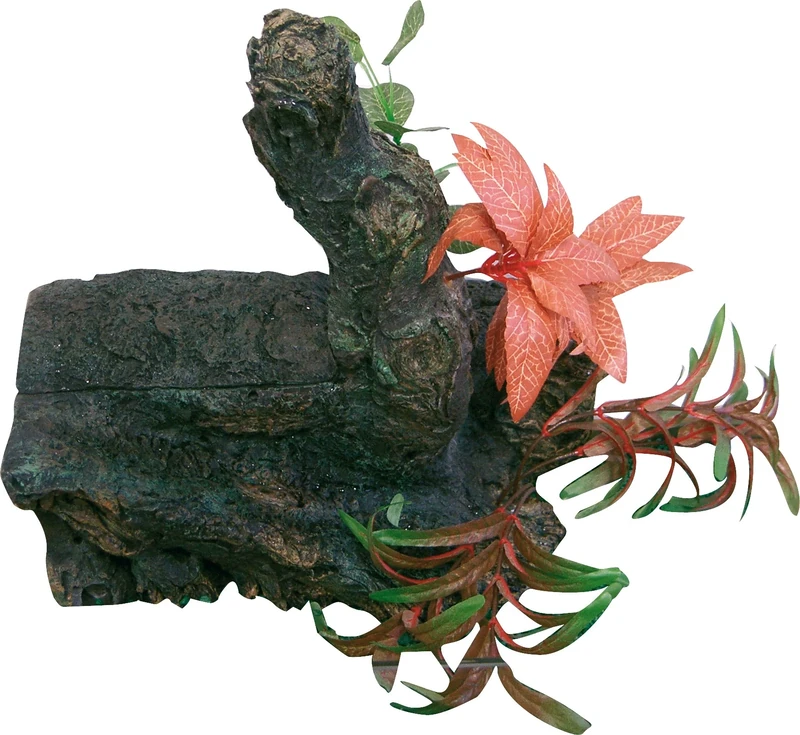 Croci Isola Tarta Paradise, Large