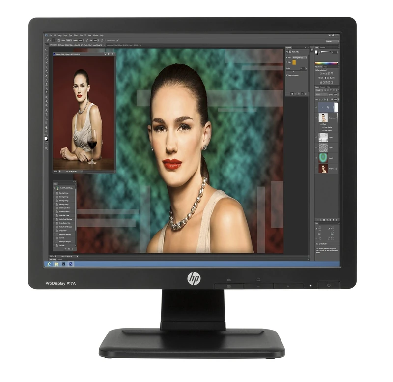 HP ProDisplay P17A 17-Inch 5:4 LED Backlit Monitor - Black