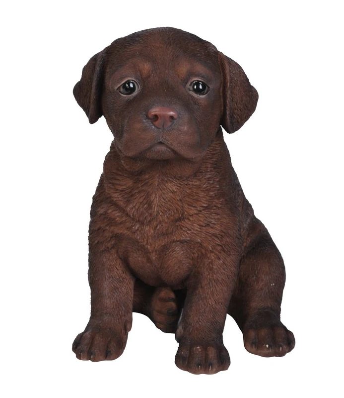HI-LINE Gift Ltd Labrador Puppy Statue, Chocolate Brown
