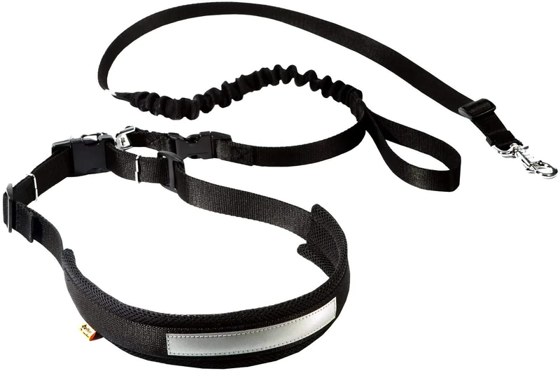 Dingo Canicross Set Multifunctional Waist Belt and Shock-Absorber Lead M or L