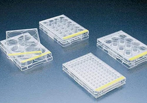 TPP Techno Plastic Products 092412b Culture Plate, 12 Wells (Pack of 72)