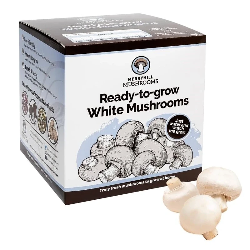 Merryhill Mushrooms - Fresh White Mushroom Growing Kit | Gardening Gifts for Women, Men & Kids | Grow Your Own Kits | Easy & Delicious to Eat | Mushroom Gifts (4 White Mushroom Grow Kit)