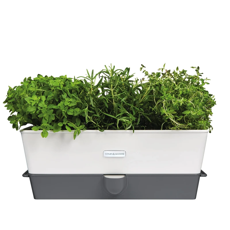Cole & Mason Self-Watering Herb Keeper, Plastic, White/Grey, 13.8 x 37.1 x 14 cm