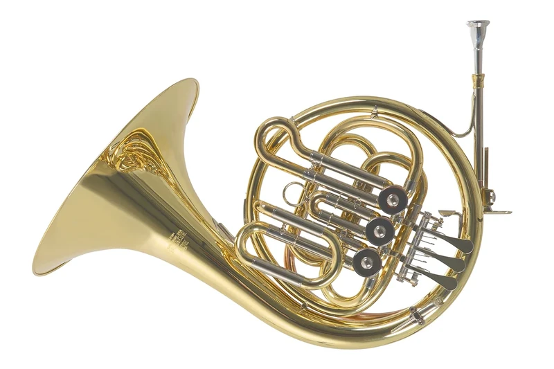 Roy Benson Kinder Bb Waldhorn MOD.HR212B lackiert mit Formetui