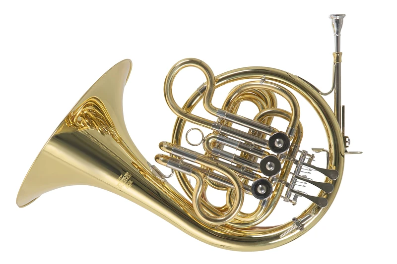 Roy Benson Kinder F Waldhorn MOD.HR212F lackiert mit Formetui