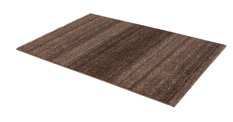 Astra Rug Polypropylene Brown 133 x 190 cm