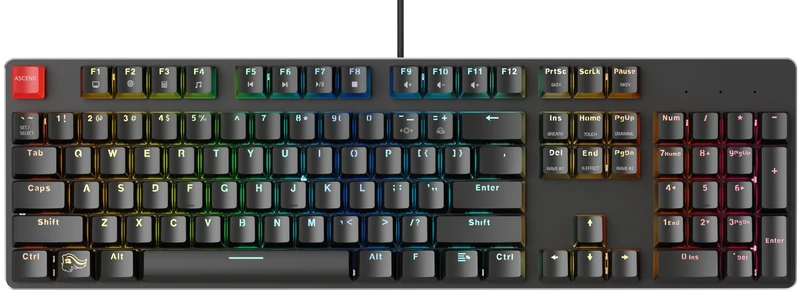 Glorious Gaming GMMK Full Size (100%) - Mechanical Gaming Keyboard, Gateron Brown Switches (Tactile), Doubleshot Caps, Per Key RGB, Hotswap & Customisable, Full NKRO, American QWERTY Layout - Black