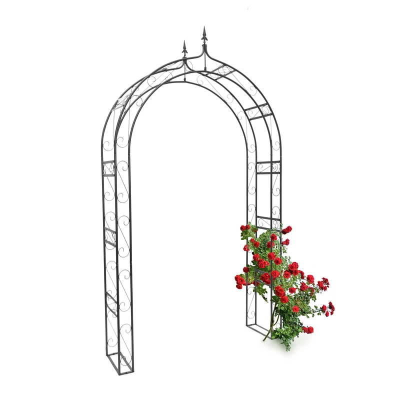 Relaxdays Rose Arch, Climbing Plant Support Frame with Pointed Tip, 242 x 138 x 35.5 cm, Sturdy Metal, Black