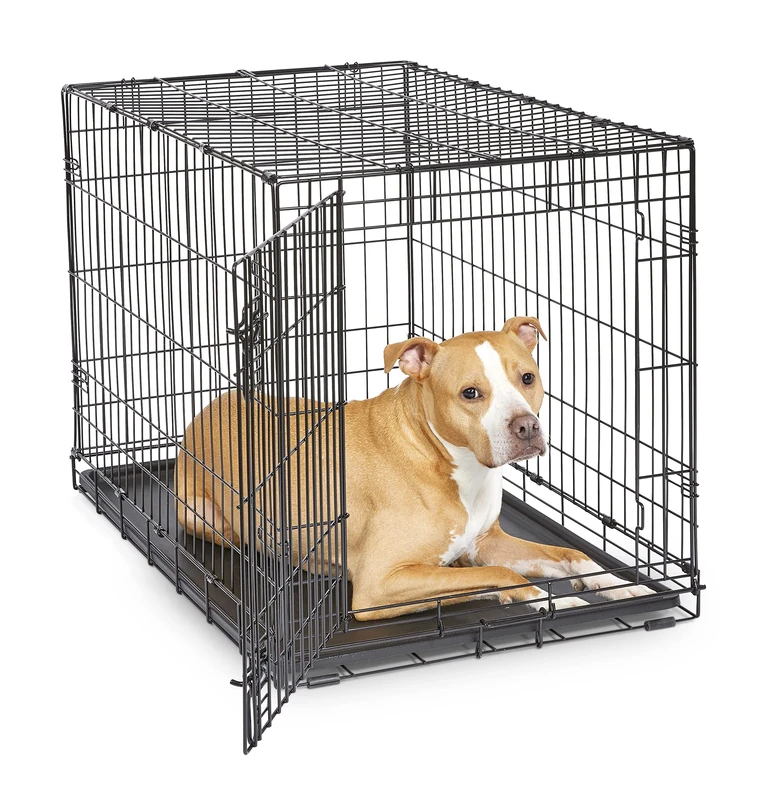 New World Single Door Folding Metal 91 cm Dog Crate, Enhanced Security, Includes Leak-Proof Pan, For Medium to Large Sized Breeds