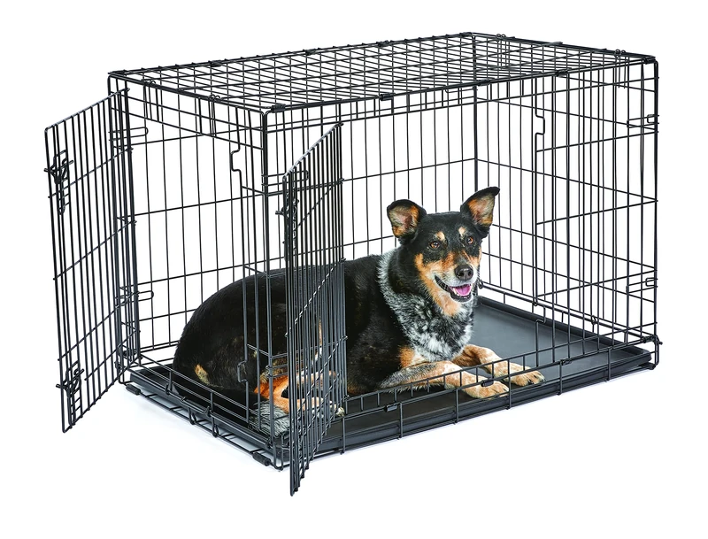 New World Double Door Folding Metal 91 cm Dog Crate, Enhanced Security, Includes Leak-Proof Pan, For Medium to Large Sized Breeds