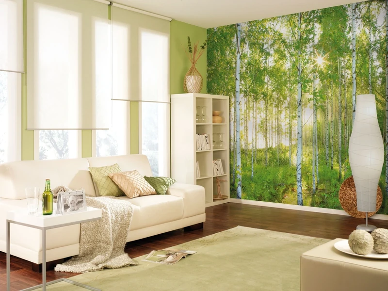 Komar XXL4-519 368 x 248 cm "National Geographic Sunday Spring Birch Tree Forest" Wallpaper Mural - Green (Pack of 4)