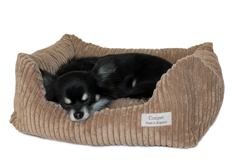 Cosipet Koala Kalahari Biscuit Bed, Large, 36-Inch