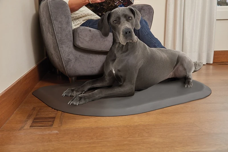 Wellness PetMats PM4530RGRY Wellness Rounded PetMat (45"x30"), Gray Cloud, Large