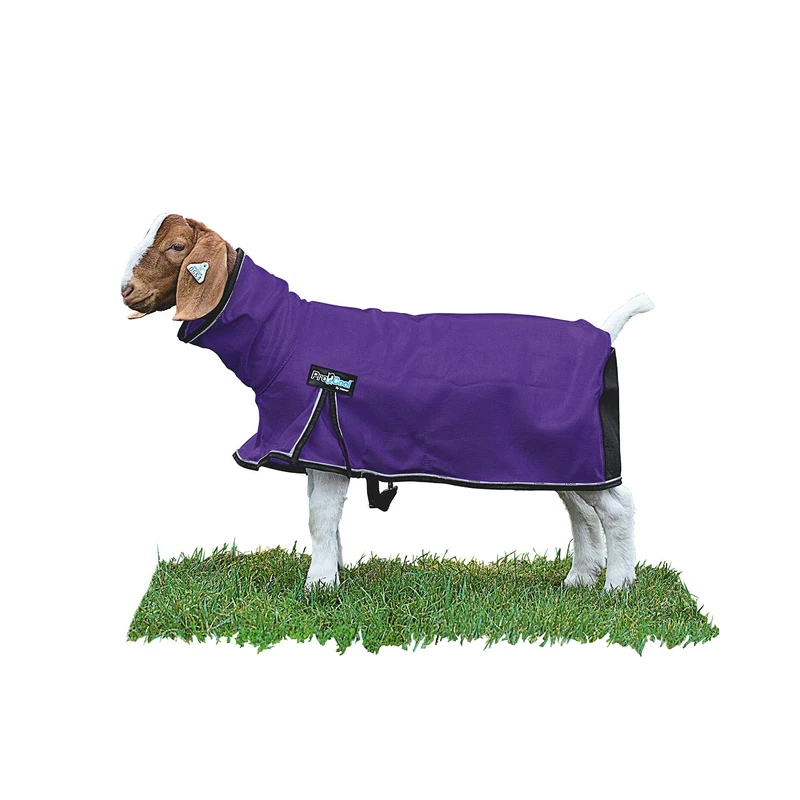 Weaver Leather Livestock ProCool Mesh Goat Blanket with Reflective Piping Purple, Extra Small