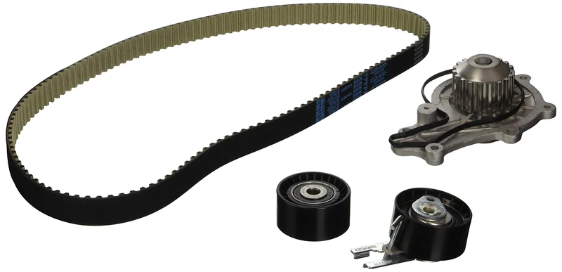 Magneti Marelli 1609525680 Distributor Belt Kit with Water Pump