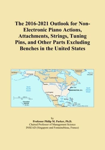 The 2016-2021 Outlook for Non-Electronic Piano Actions, Attachments, Strings, Tuning Pins, and Other Parts Excluding Benches in the United States - Image 1