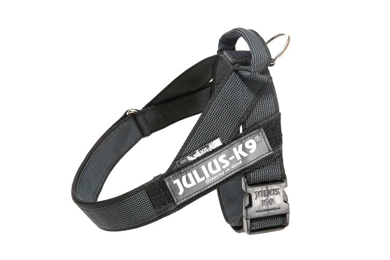 Julius-K9, IDC Color & Gray Belt Harness, Size: L / 1, Black-Gray
