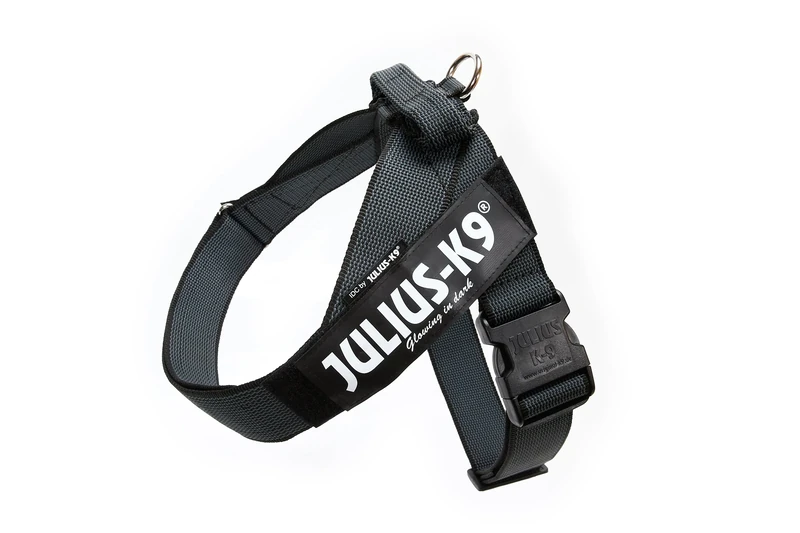 Julius-K9, IDC Color & Gray Belt Harness, Size: XL / 2, Black-Gray