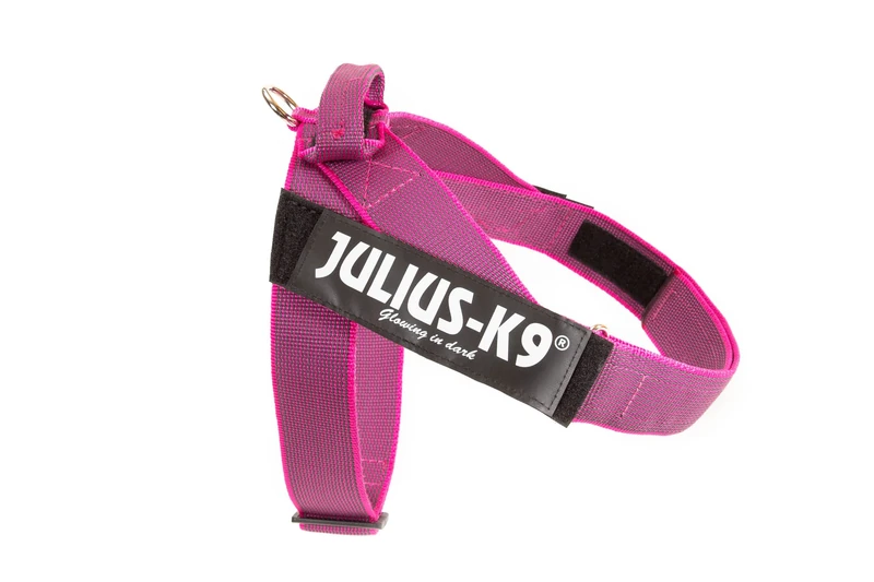 Julius-K9, IDC Color & Gray Belt Harness, Size: XL / 2, Pink-Gray