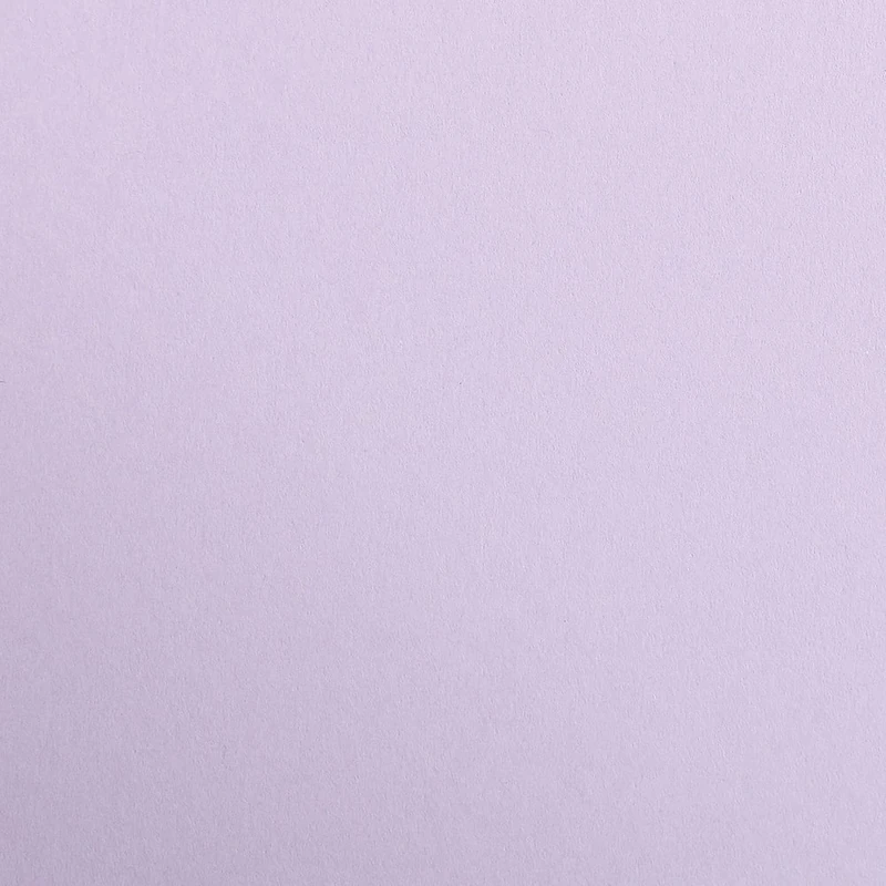 Clairefontaine - Ref 397277C - Maya Coloured Drawing Paper (Pack of 12 Sheets) - 270gsm Paper - 50 x 70cm - Lilac Colour - Deep Dyed, Acid Free, pH Neutral